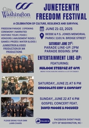 Juneteenth Freedom Festival Flyer. 