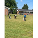 A yard full of children hunting for eggs.