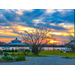 Plants, trees and pavilions with a lake in the background at sunset.