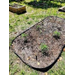  Medium sized plot in the community garden. 