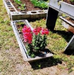  Extra small garden with red flowers growing. 
