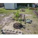  A couple plots in the community garden. 