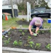  A person working in the community garden. 