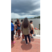  A group of people standing on a dock by the water. 