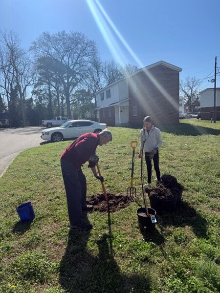 A man and a woman digging a hole to plant a tree.