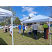  People standing and talking under tents. 