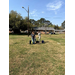  Three people from ReLeaf of Washington, NC planting trees in the East Village area. 