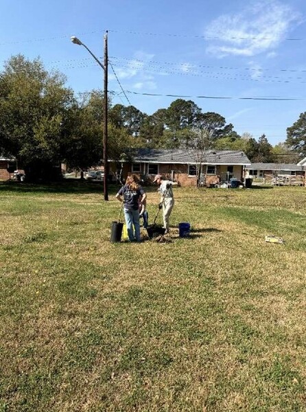 Three people from ReLeaf of Washington, NC planting trees in the East Village area.