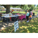  People checking out a table under the shade of a tree. 